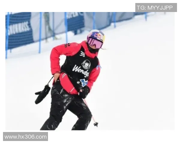 北京极限运动队的灵活性探秘与发展现状分析MBA