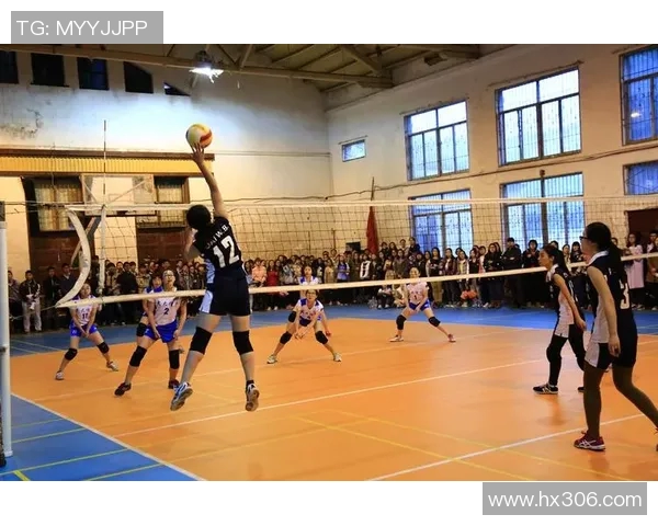 武汉排球队引领最新排球战术十大趋势解析与展望